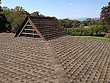 Asphalt Shingles